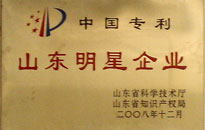 明星企業（2008）
